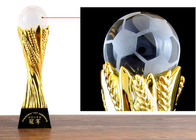 Taza de encargo del trofeo de la resina con la bola de cristal para el extremo del fútbol - premio del año